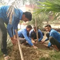 Green Seekers Activity